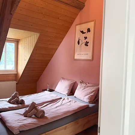 Daire Loft Winterzeit - Near Interlaken Spiez Thun - Wandern Und Skifahren