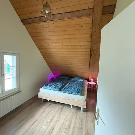 Appartamento Loft Winterzeit - Near Interlaken Spiez Thun - Wandern Und Skifahren