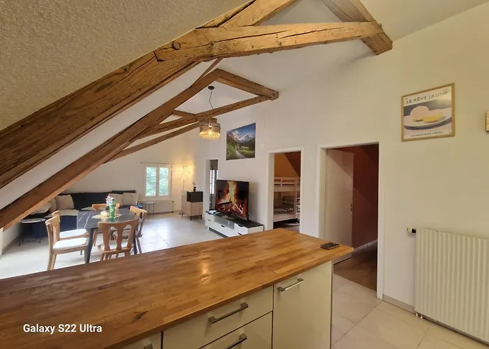 Lejlighed Loft Winterzeit - Near Interlaken Spiez Thun - Wandern Und Skifahren *