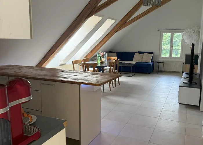 Loft Winterzeit - Near Interlaken Spiez Thun - Wandern Und Skifahren *