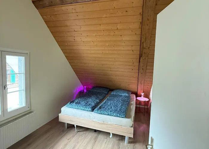 Lejlighed Loft Winterzeit - Near Interlaken Spiez Thun - Wandern Und Skifahren