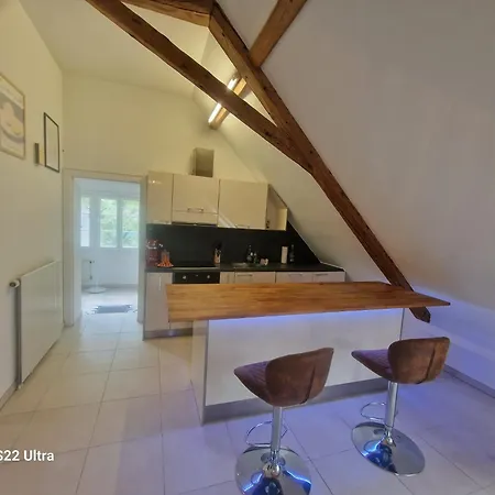 Loft Winterzeit - Near Interlaken Spiez Thun - Wandern Und Skifahren Apartament