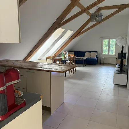 Loft Winterzeit - Near Interlaken Spiez Thun - Wandern Und Skifahren *