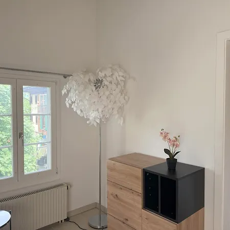 Apartament Loft Winterzeit - Near Interlaken Spiez Thun - Wandern Und Skifahren