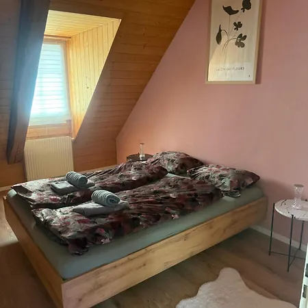 Apartament Loft Winterzeit - Near Interlaken Spiez Thun - Wandern Und Skifahren