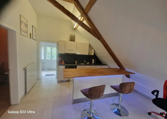 Loft Winterzeit - Near Interlaken Spiez Thun - Wandern Und Skifahren Apartment