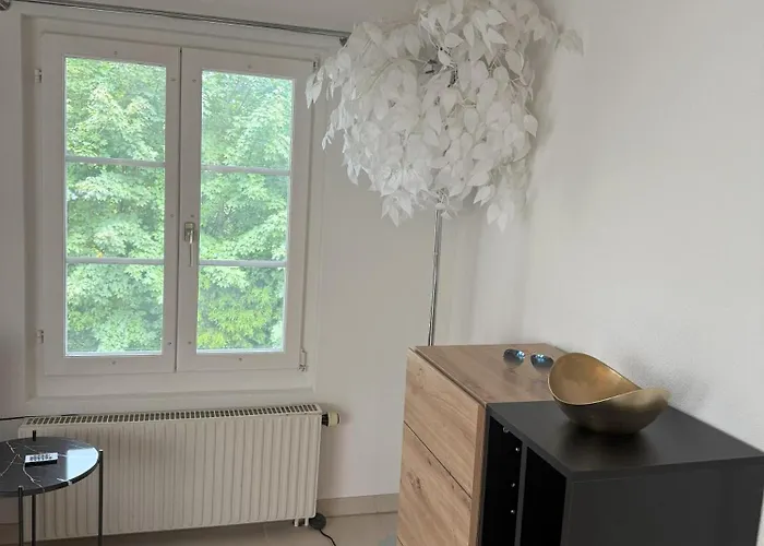 Apartment Loft Winterzeit - Near Interlaken Spiez Thun - Wandern Und Skifahren Wimmis